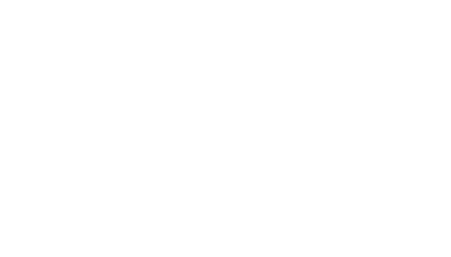 optiAlliance (2)